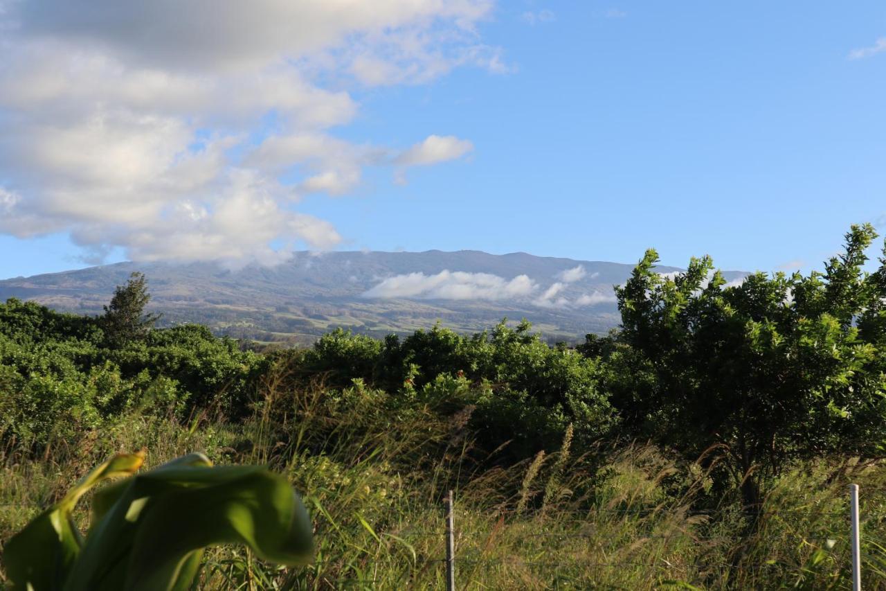 Bed and Breakfast God'S Peace Of Maui Makawao Екстер'єр фото