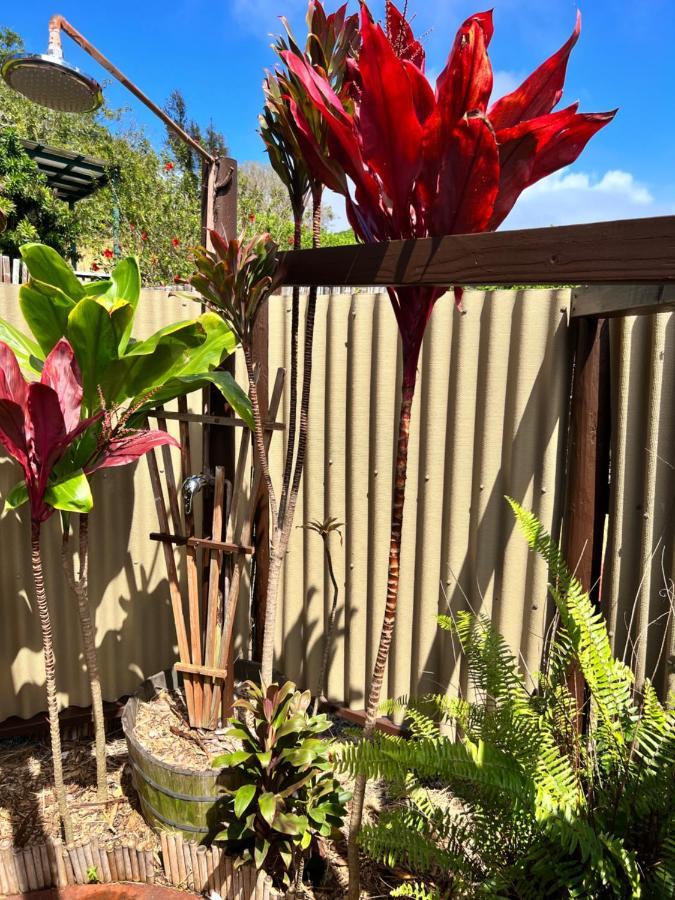 Bed and Breakfast God'S Peace Of Maui Makawao Екстер'єр фото