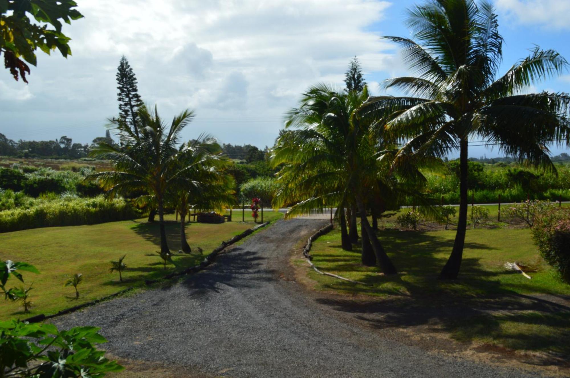 Bed and Breakfast God'S Peace Of Maui Makawao Номер фото