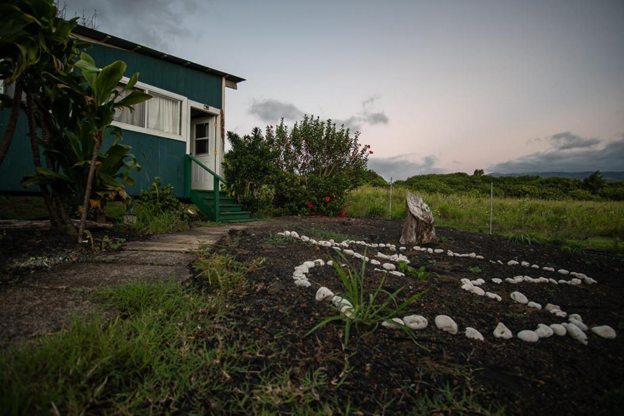 Bed and Breakfast God'S Peace Of Maui Makawao Екстер'єр фото